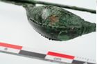 Foto von Bronzekahnfibel (NHMW-PRAE-024801)